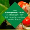 Nature's Bounty Anxiety & Stress Relief Supplement;  Ashwagandha KSM 66;  50 Count